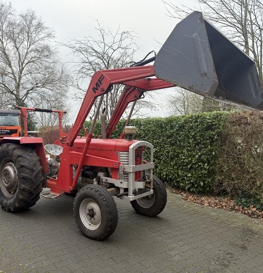 Massey Ferguson 65 mit Frontlader