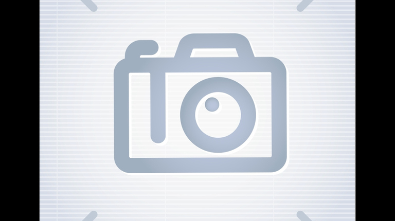 Boxer FT 245-404 4-in-1-Schaufel