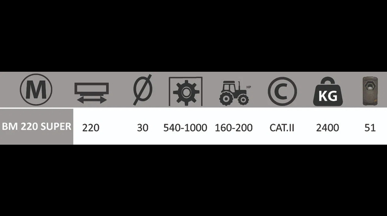 Boxer BM 220 SUPER Baumstumpffräse